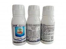 ���� ���������ʰ�