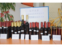 �ڹ���鱲�Ʒ