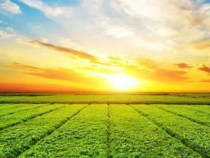 ����S36ɳ�������ﱣ�������������޹�˾