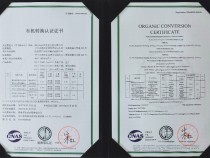 �л�ת����֤֤��