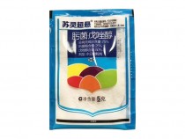 ���鳬�� 뿾�������