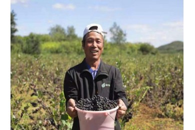 �ڹ��Ƽ���Ʒ