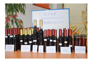 �ڹ���鱲�Ʒ