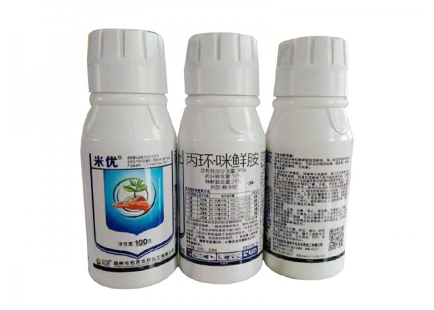 ���� ���������ʰ�