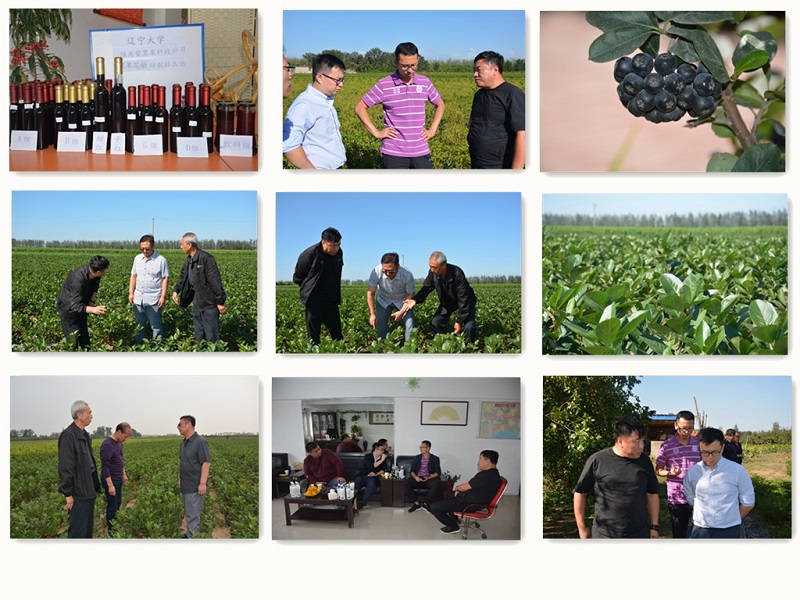 S36ɳ���� - Ҫ�����ɳ����