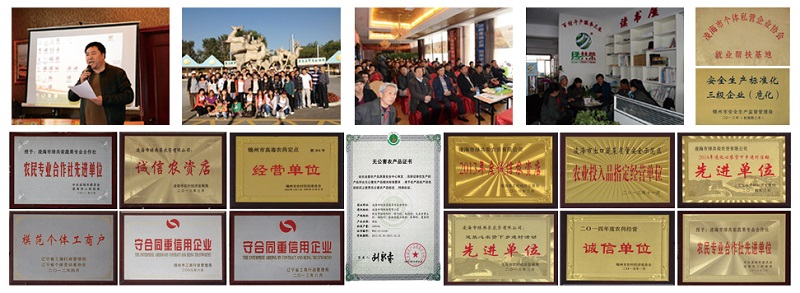 S36ɳ���� - Ҫ�����ɳ����