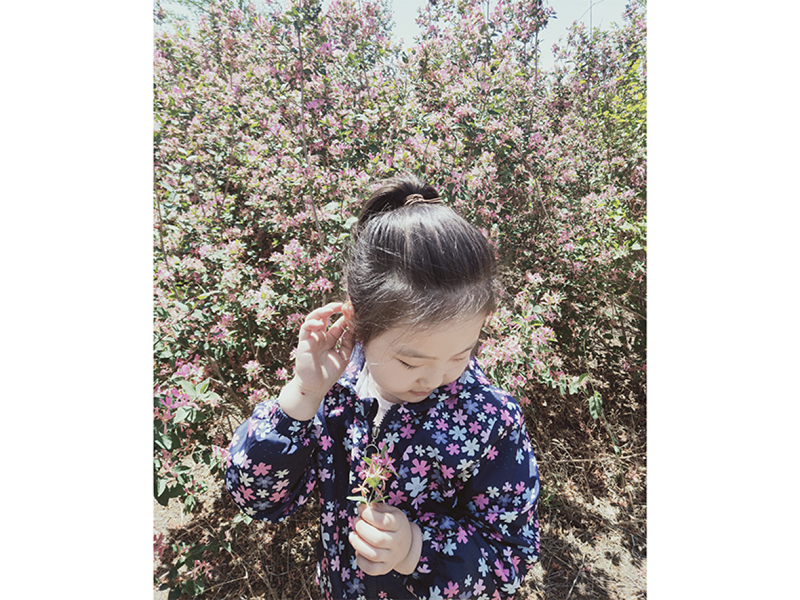 S36ɳ���� - Ҫ�����ɳ����