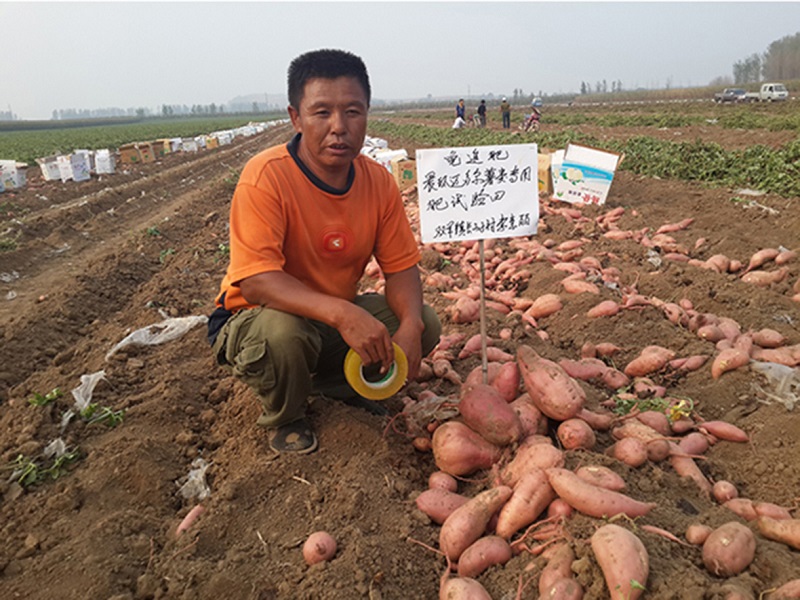 S36ɳ���� - Ҫ�����ɳ����