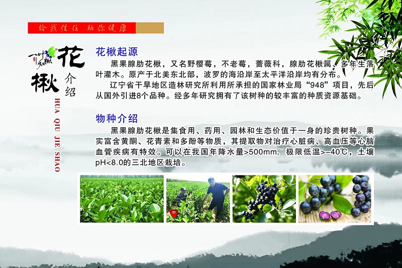 S36ɳ���� - Ҫ�����ɳ����