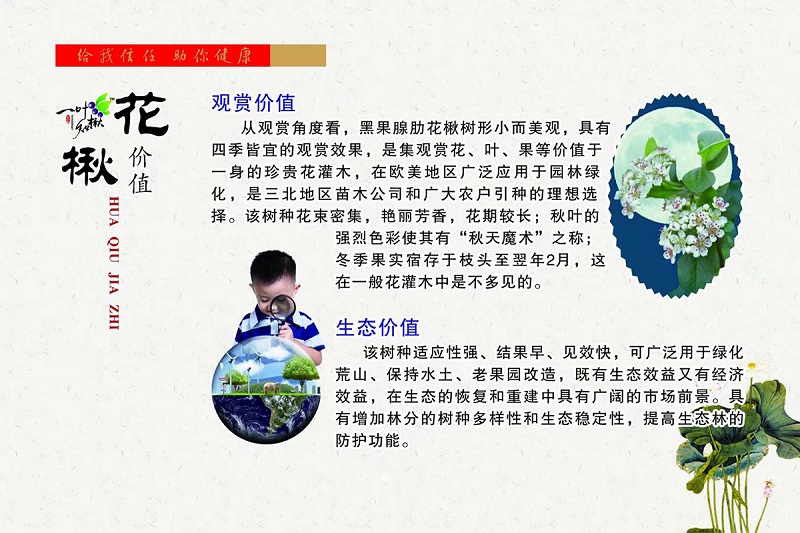 S36ɳ���� - Ҫ�����ɳ����