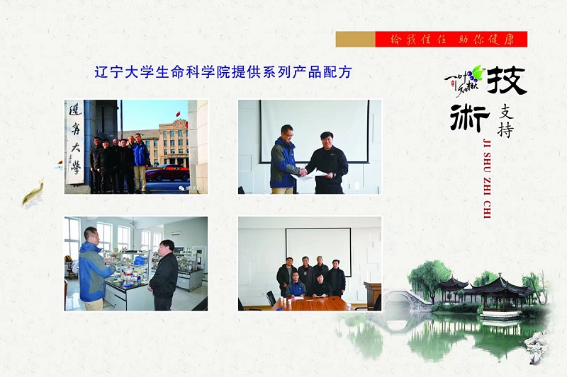 S36ɳ���� - Ҫ�����ɳ����