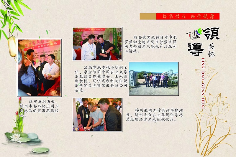 S36ɳ���� - Ҫ�����ɳ����