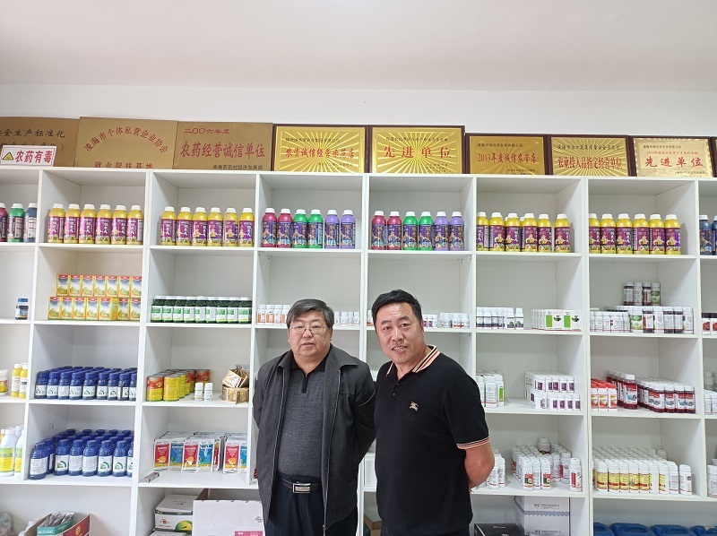 S36ɳ���� - Ҫ�����ɳ����