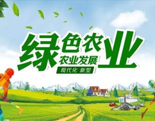 ����S36ɳ����ڹ��Ƽ����޹�˾