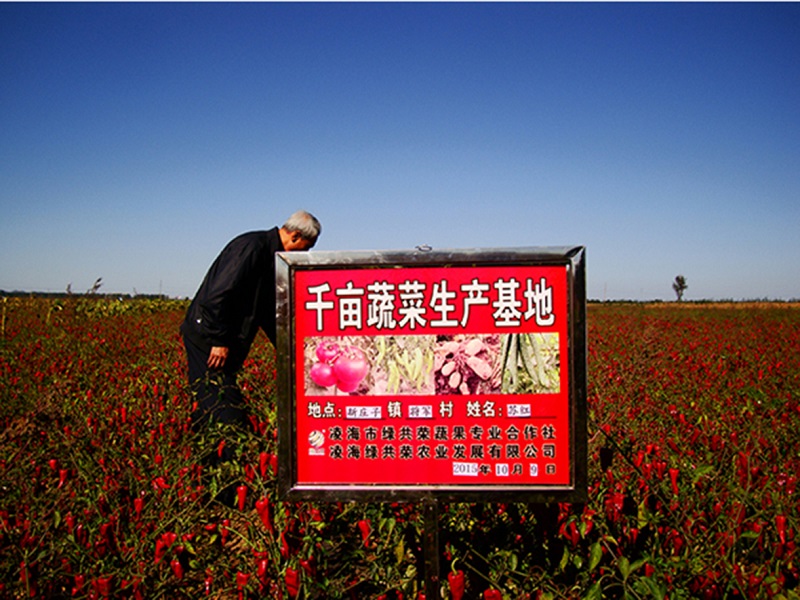 S36ɳ���� - Ҫ�����ɳ����