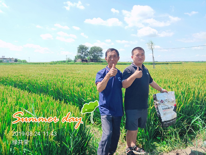 S36ɳ���� - Ҫ�����ɳ����