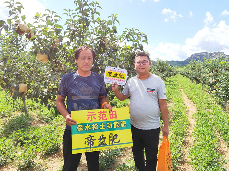 S36ɳ���� - Ҫ�����ɳ����