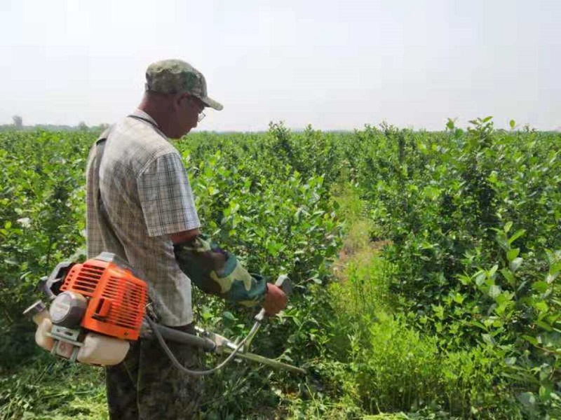 S36ɳ���� - Ҫ�����ɳ����