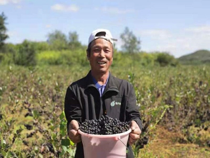 �ڹ��Ƽ��aƷ