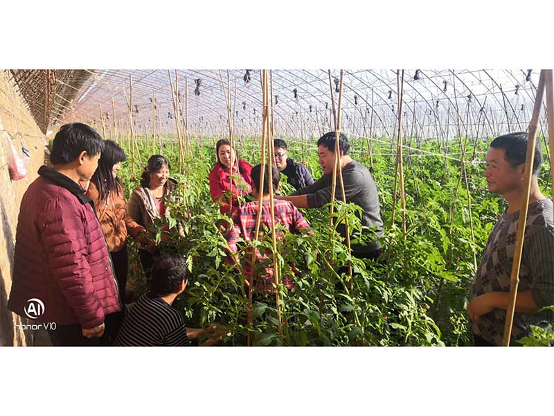 S36ɳ���� - Ҫ�����ɳ����