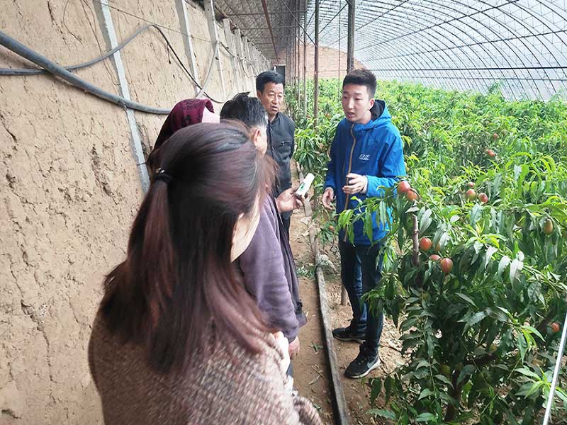 S36ɳ���� - Ҫ�����ɳ����