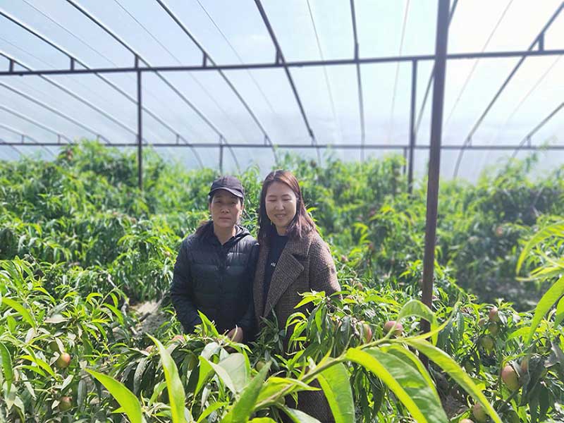 S36ɳ���� - Ҫ�����ɳ����